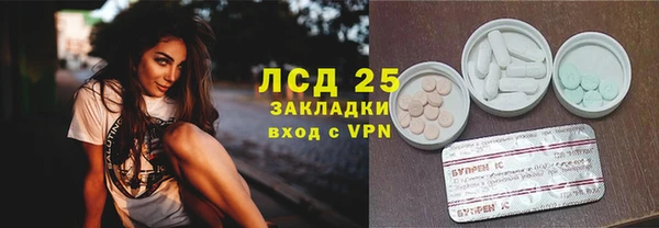 бошки Бородино