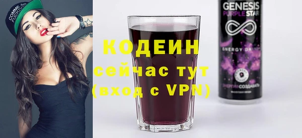 бошки Бородино