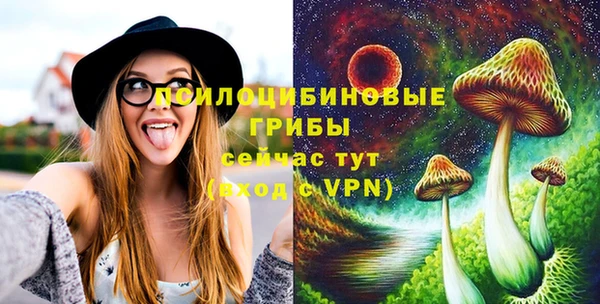 бошки Бородино