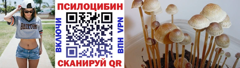Галлюциногенные грибы Psilocybe  Купить  Оленегорск 